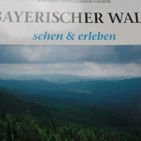Ferienwohnung Am Waldrand Bayerisch Eisenstein Exterior foto